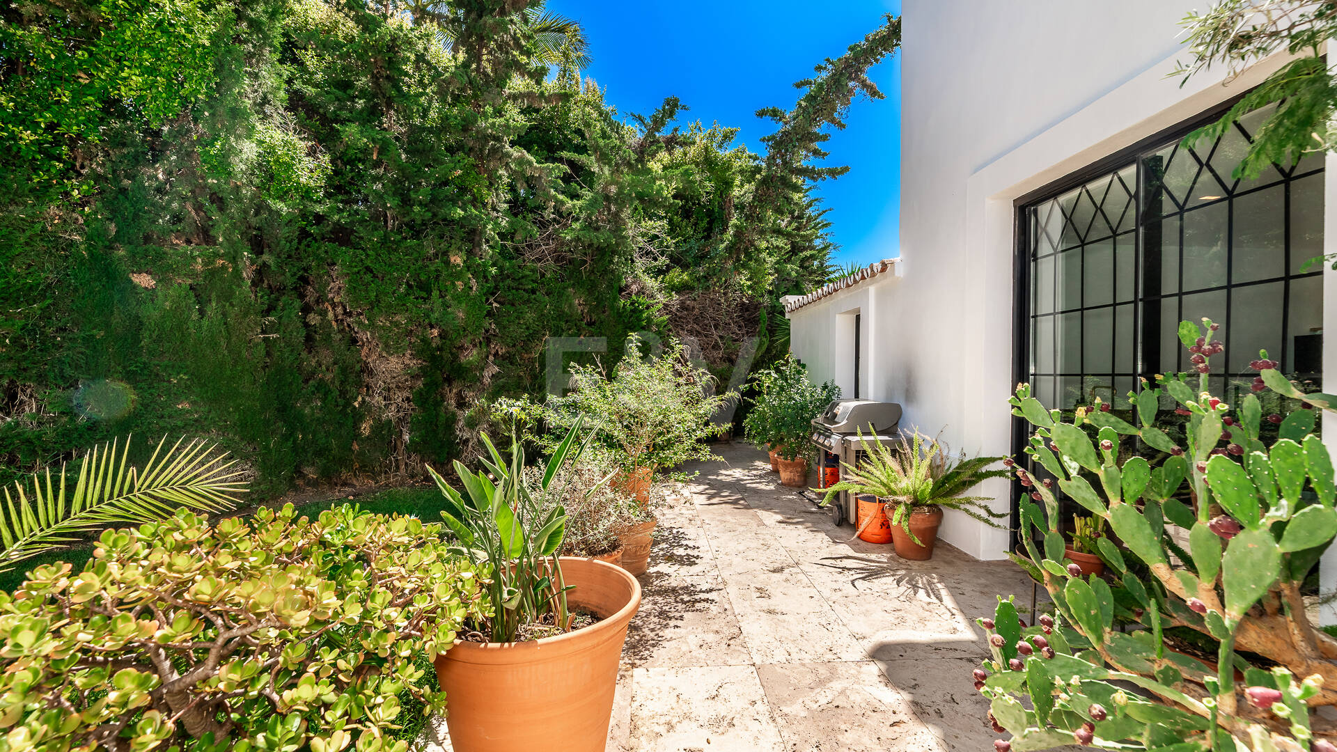 Andalusian Villa steps to the beach in Marbesa