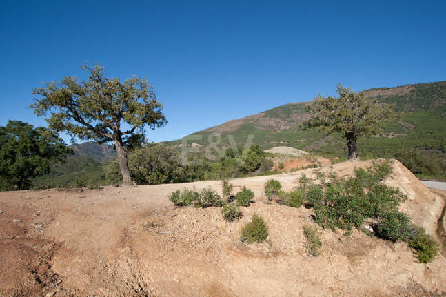Parcela privilegiada en La Zagaleta con vistas panorámicas