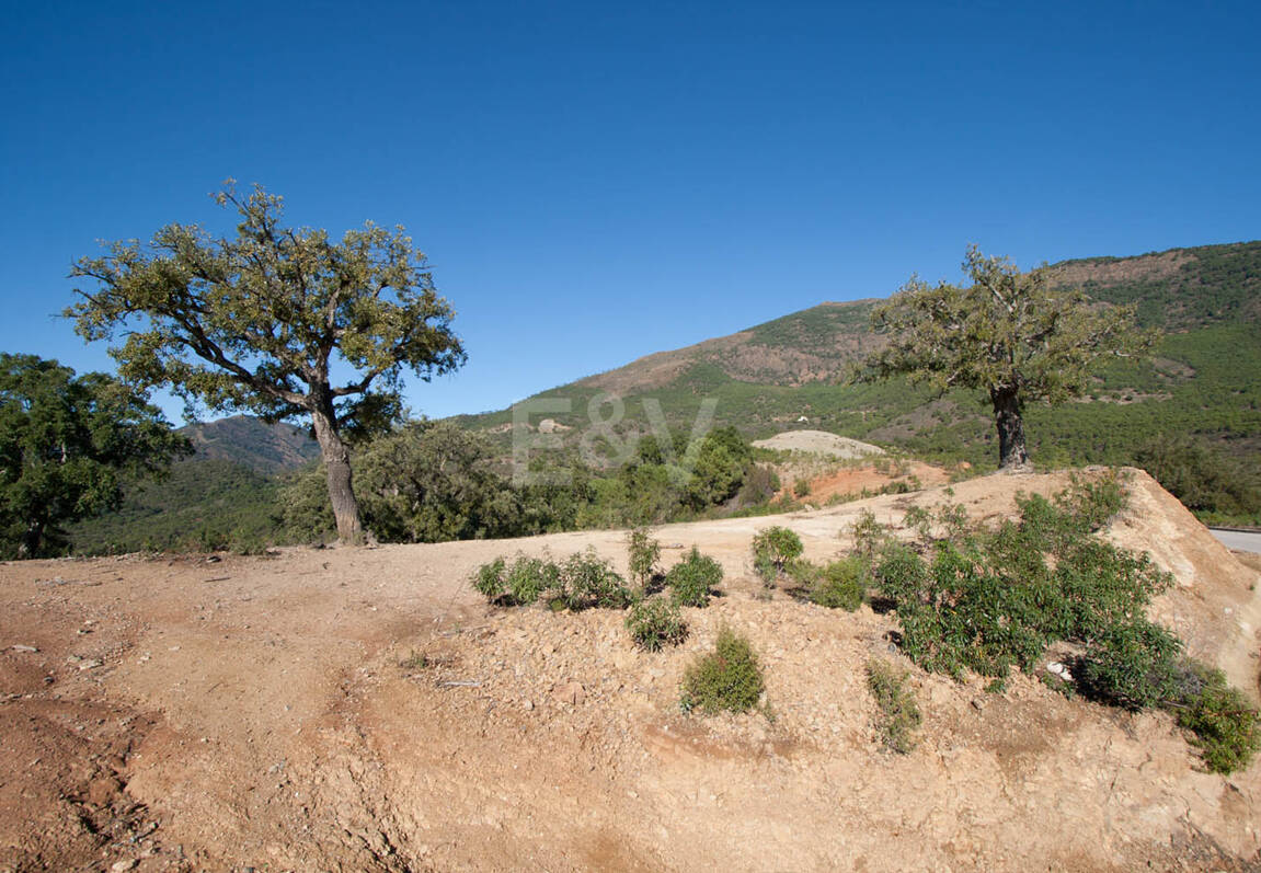 Parcela privilegiada en La Zagaleta con vistas panorámicas