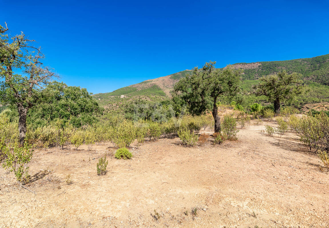 Parcela privilegiada en La Zagaleta con vistas panorámicas