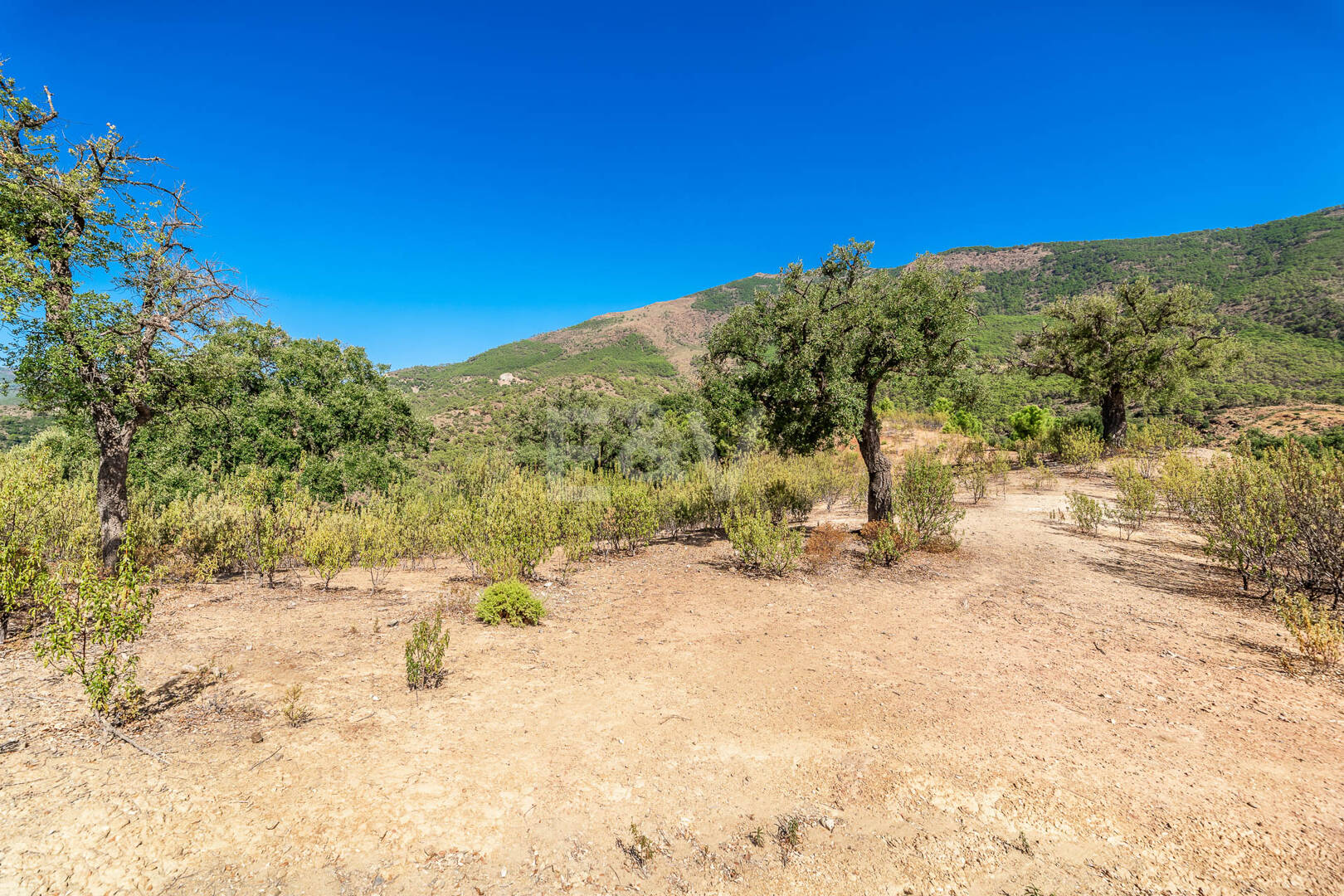 Prime Building Plot in La Zagaleta with Panoramic Views