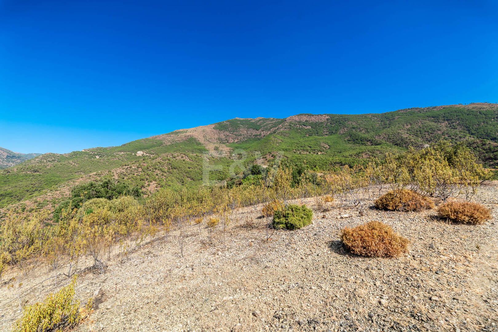 Prime Building Plot in La Zagaleta with Panoramic Views