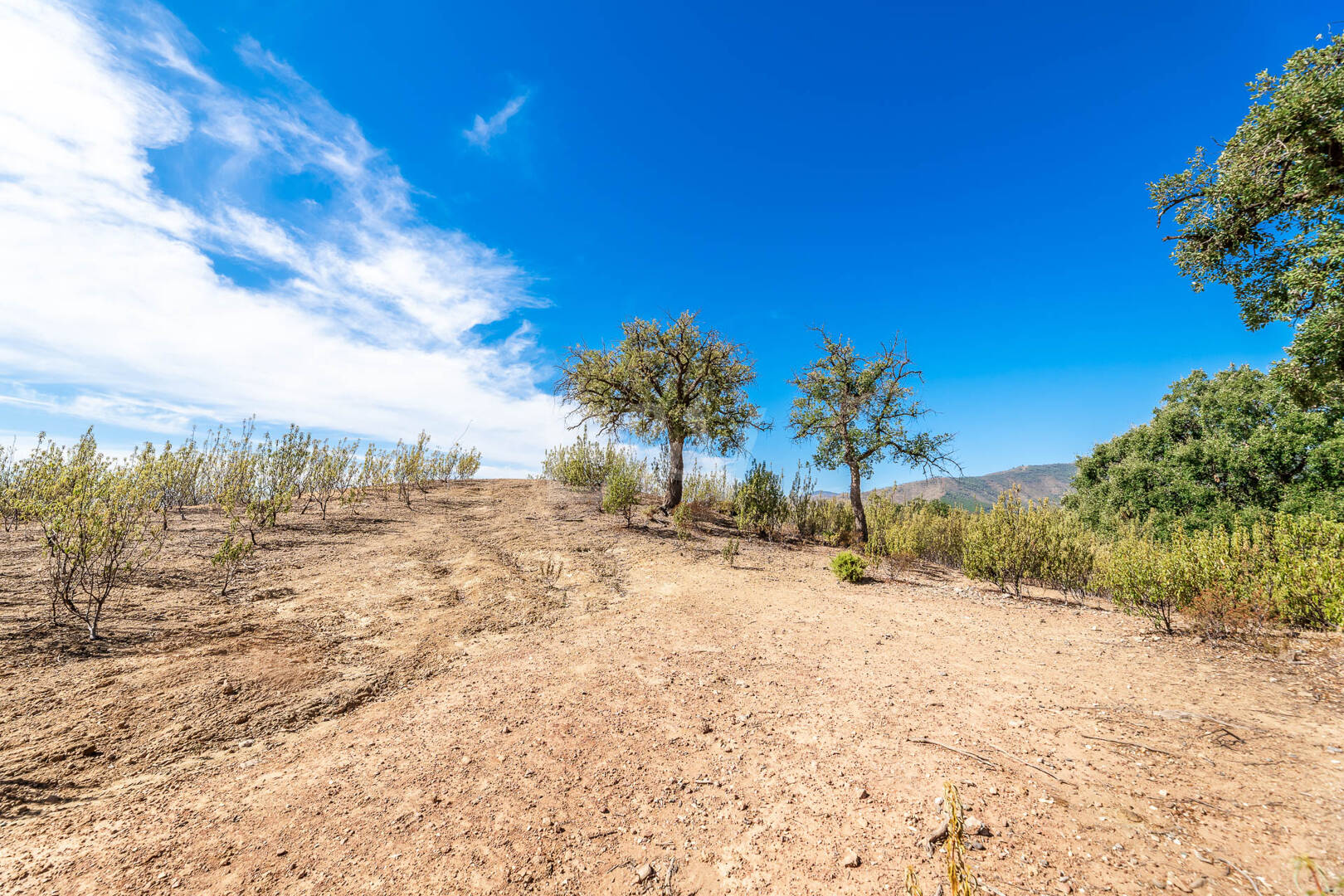 Prime Building Plot in La Zagaleta with Panoramic Views
