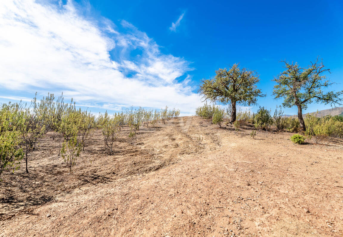 Parcela privilegiada en La Zagaleta con vistas panorámicas