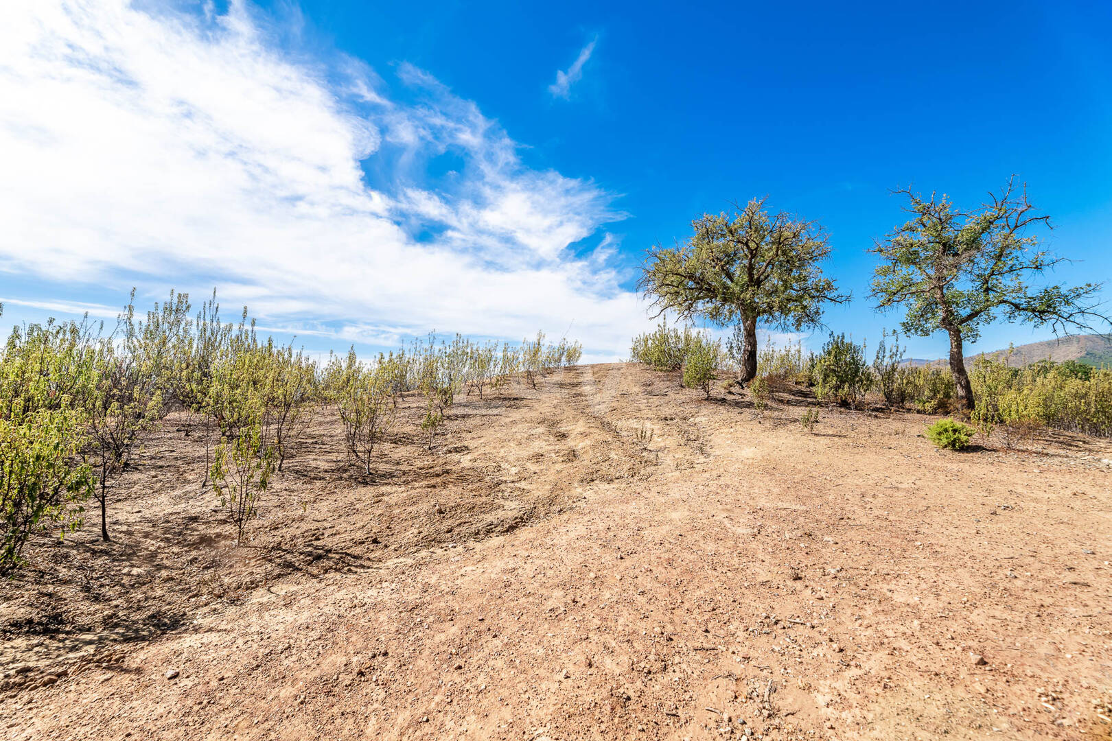 Prime Building Plot in La Zagaleta with Panoramic Views