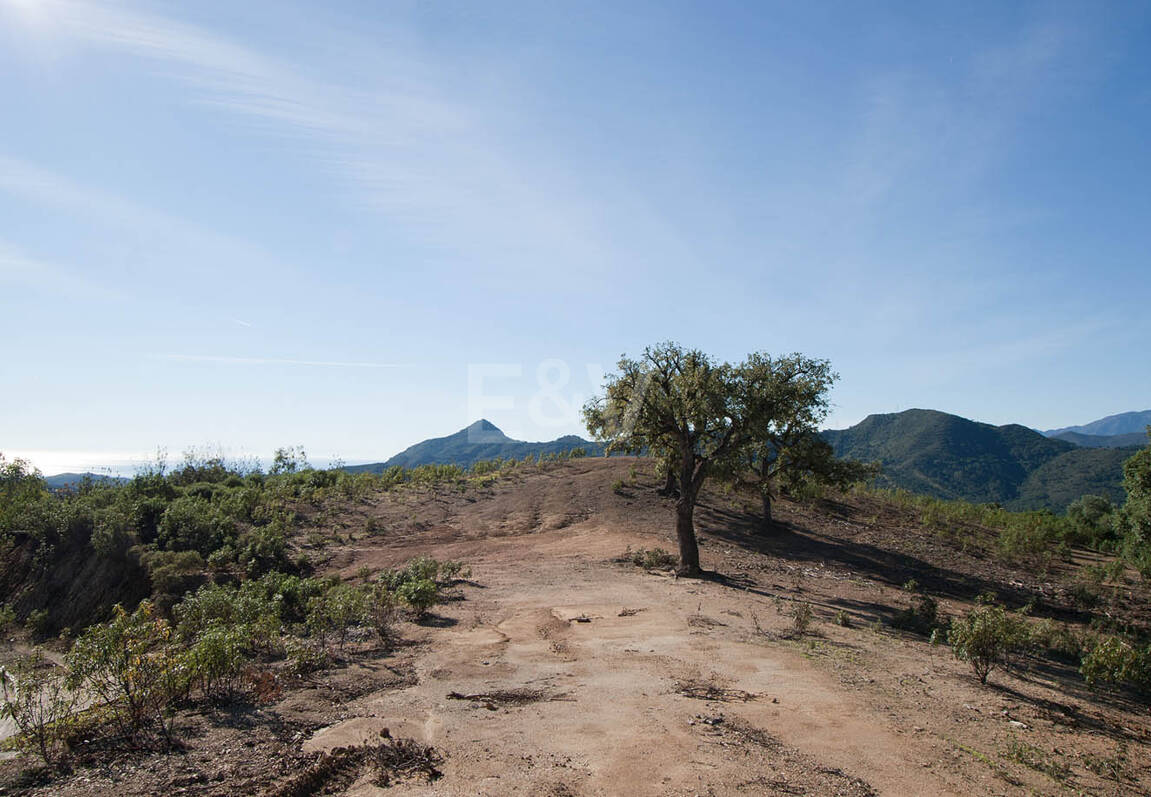 Parcela privilegiada en La Zagaleta con vistas panorámicas