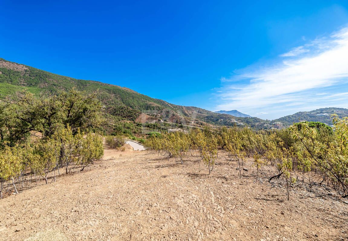 Parcela privilegiada en La Zagaleta con vistas panorámicas