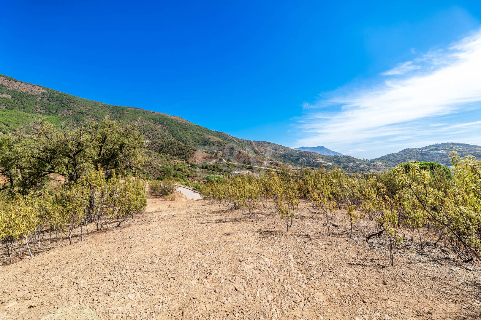 Prime Building Plot in La Zagaleta with Panoramic Views