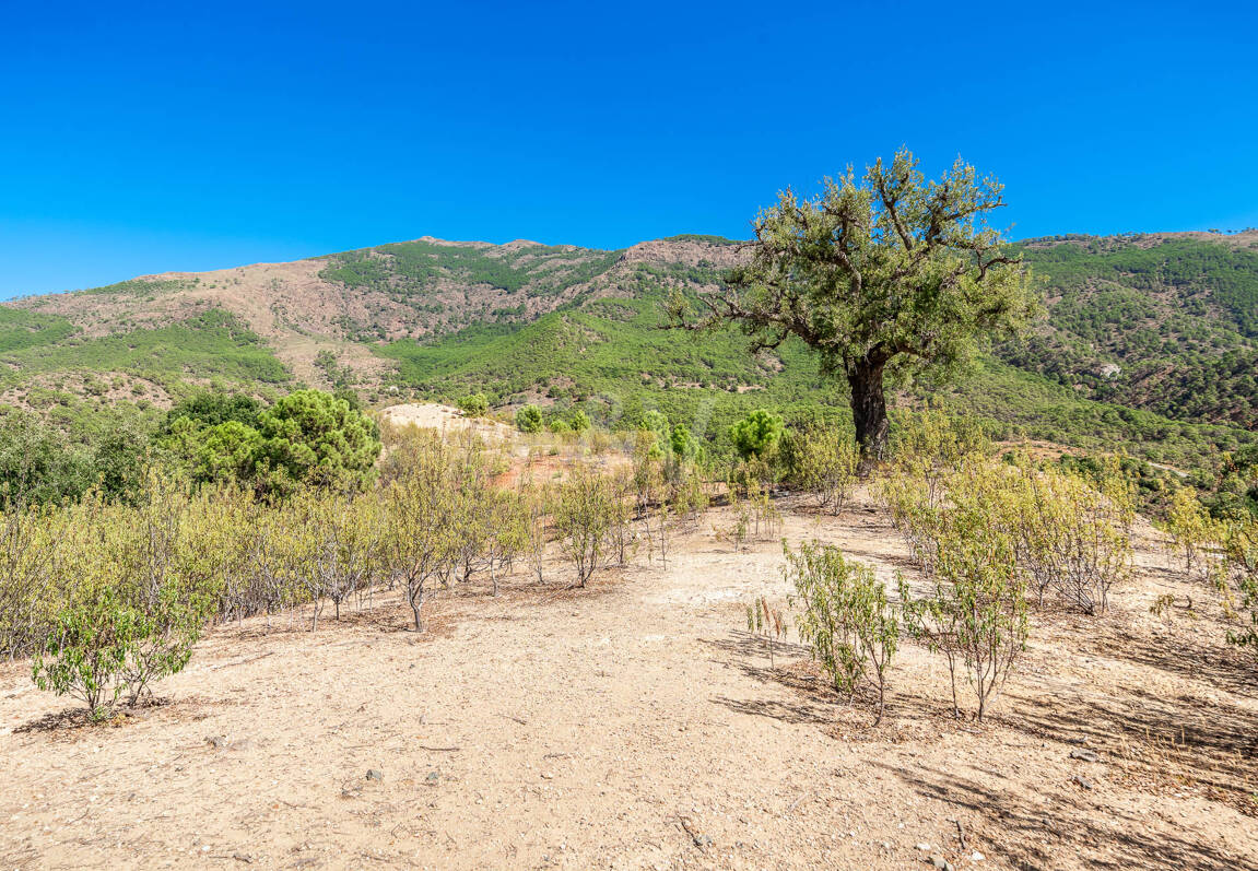 Parcela privilegiada en La Zagaleta con vistas panorámicas