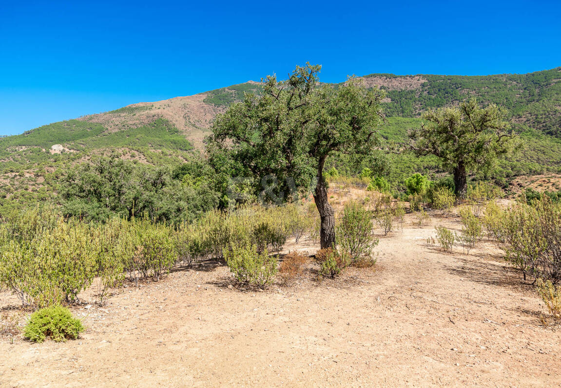 Parcela privilegiada en La Zagaleta con vistas panorámicas