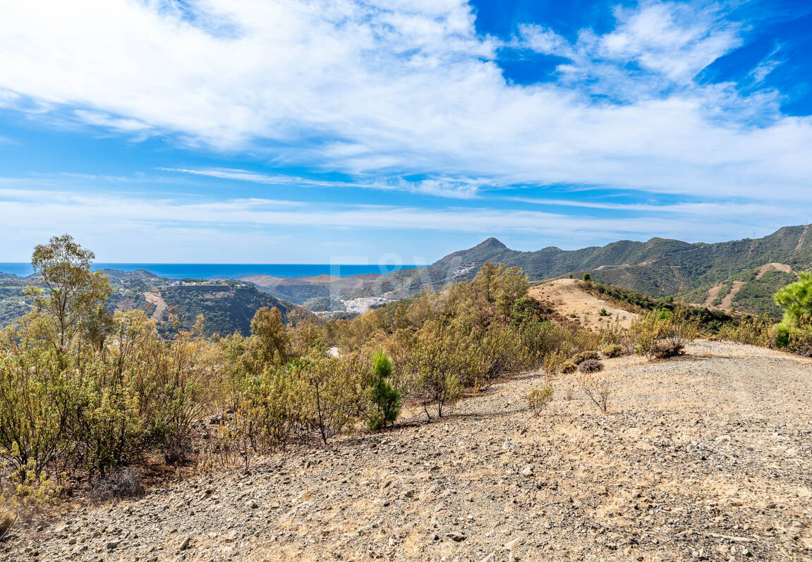 Parcela privilegiada en La Zagaleta con vistas panorámicas