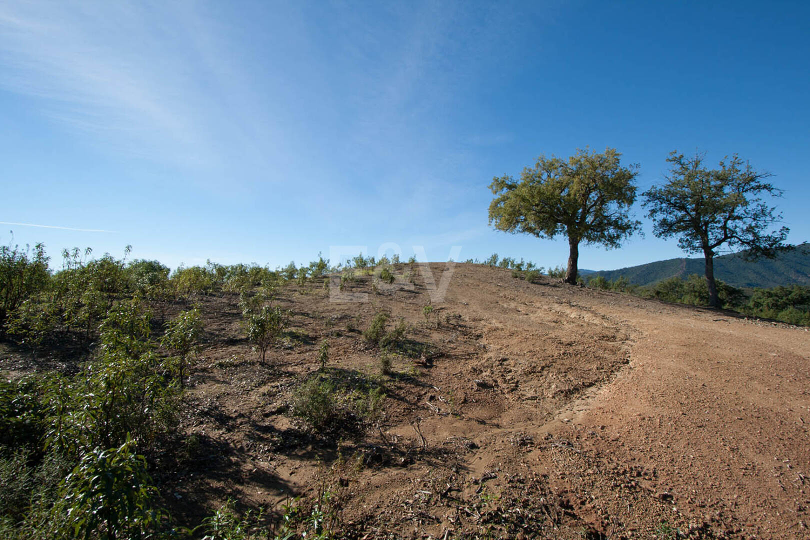Prime Building Plot in La Zagaleta with Panoramic Views