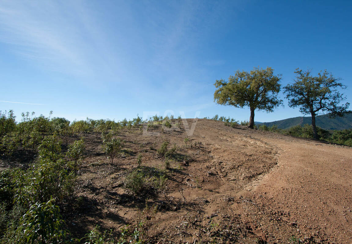 Parcela privilegiada en La Zagaleta con vistas panorámicas