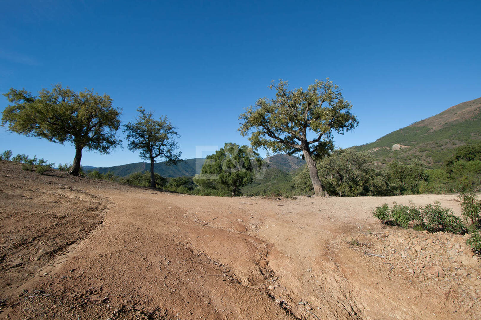 Prime Building Plot in La Zagaleta with Panoramic Views