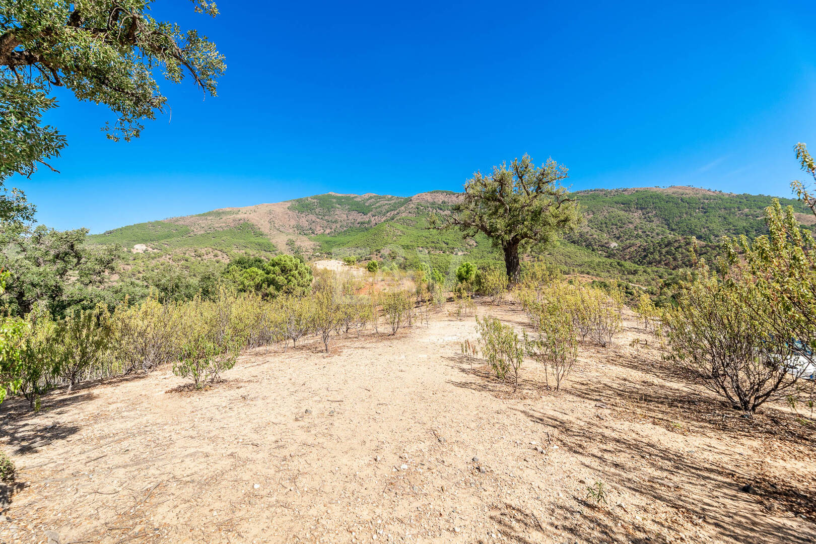 Prime Building Plot in La Zagaleta with Panoramic Views