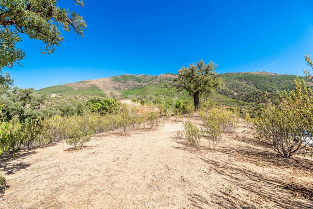 Parcela privilegiada en La Zagaleta con vistas panorámicas