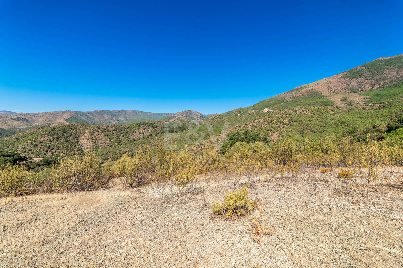 Prime Building Plot in La Zagaleta with Panoramic Views