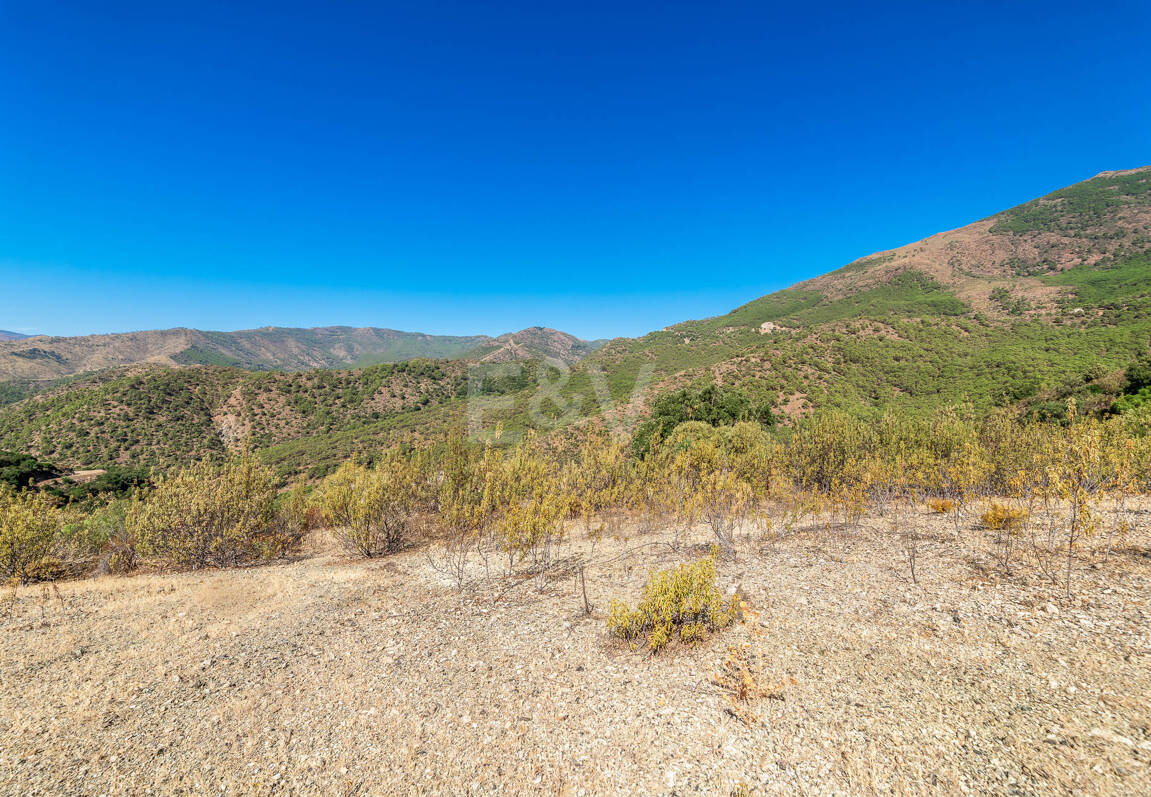 Parcela privilegiada en La Zagaleta con vistas panorámicas