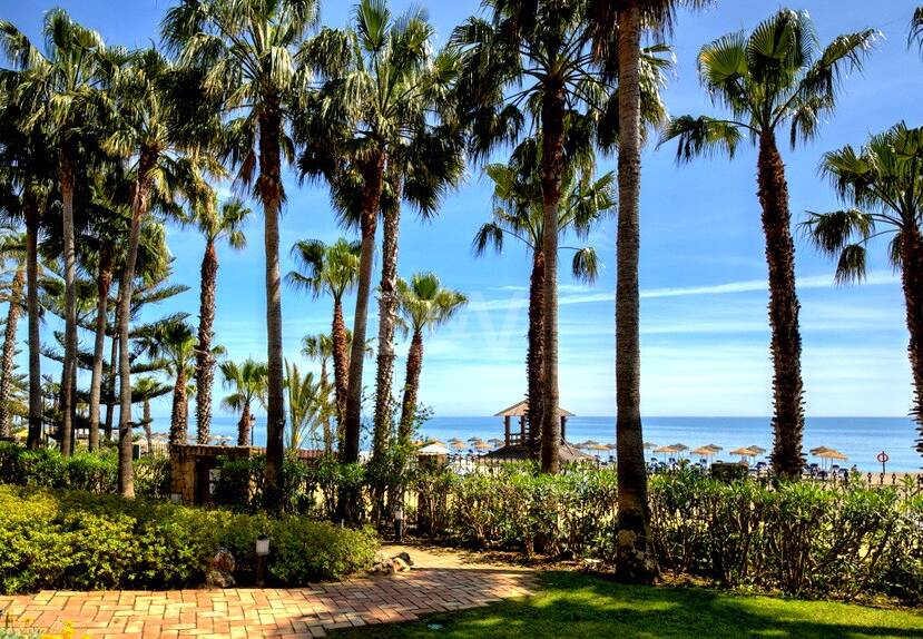 Beachfront Lägenhet i Las Cañas Beach
