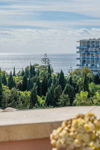 Property Contact Image