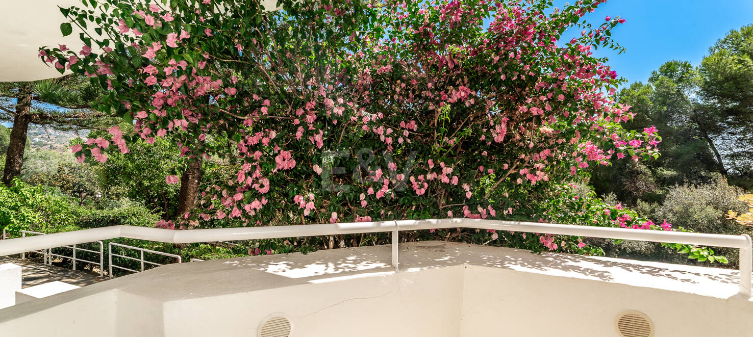 Elevated Ground Floor Apartment in Río Real Near the Beach and Golf