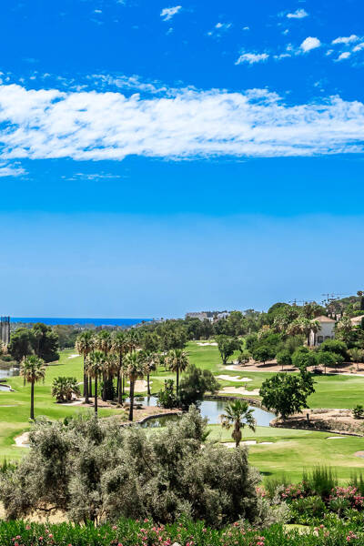 Property Contact Image