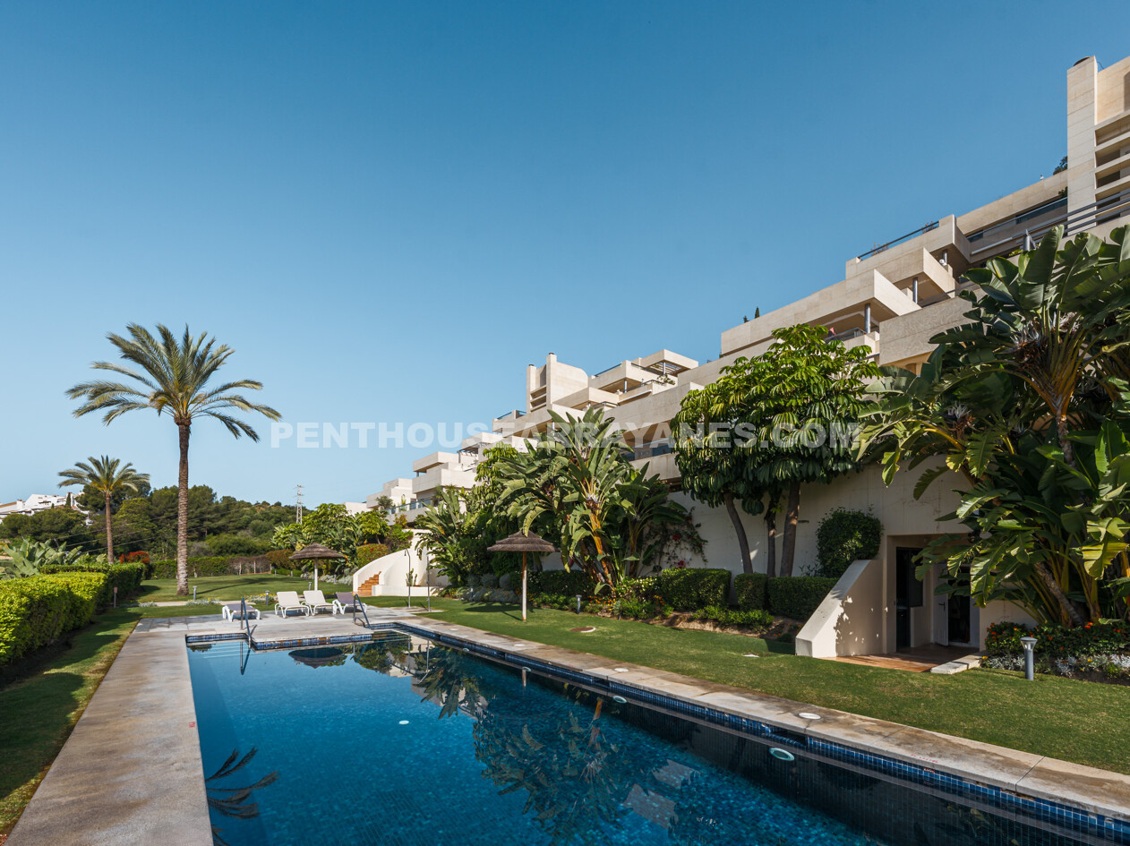 Penthouse Los Arrayanes