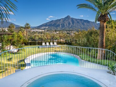 Villa Bali - Villa with Guest Apartment and in Nueva Andalucía