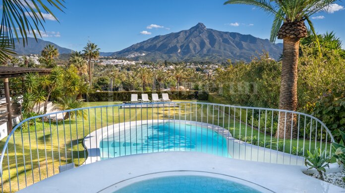 Villa Bali - Villa with Guest Apartment and in Nueva Andalucía