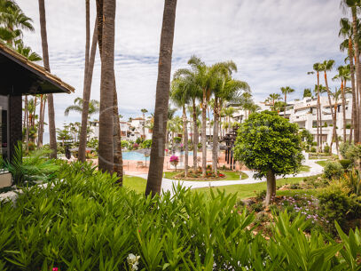Apartment Kyoto - Renovated beachfront in Puente Romano