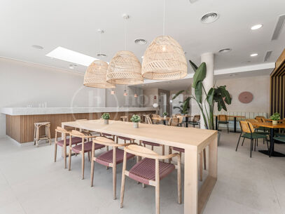 Apartment Soul Sunset - Corner Garden Apartment in Soul Marbella Sunset,