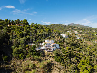Villa Esencia - Investment and redevelopment Opportunity in El Madroñal