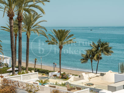 Oasis Club - Frontline Beach on Golden Mile