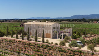 Finca Sa Vinya - Contemporary Mallorcan Estate