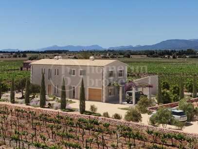 Finca Sa Vinya - Contemporary Mallorcan Estate
