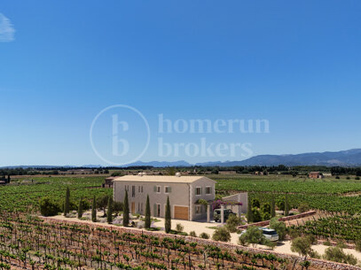 Finca Sa Vinya - Contemporary Mallorcan Estate