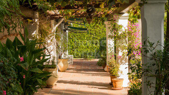 Cortijo Benahavis - Authentic Andalusian Estate with Lake Views Gardens