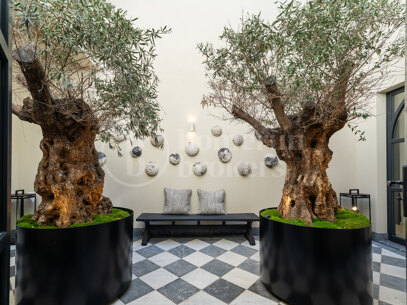 Finca Santa Maria – Lyxvilla till salu i Santa Maria del Camí, Mallorca