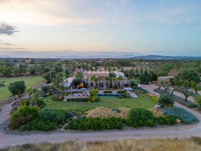 Privat Golfanläggning Oasis i Llucmajor