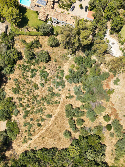 Plot Los Almendros – Expansive Plot for Sale with Panoramic Views in Puerto de Los Almendros