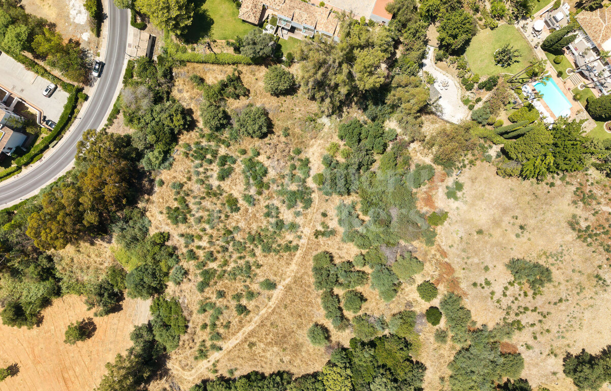 Plot Puerto del Almendro