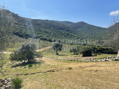 Finca Castellar – Med privat strand- och sjöaccess nära Castellar de la Frontera