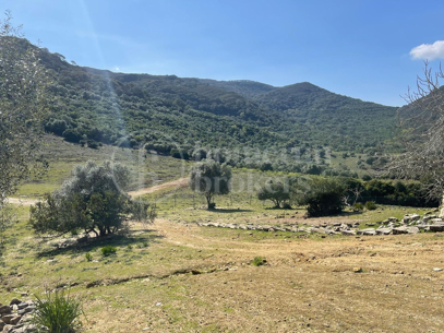 Finca Castellar – Med privat strand- och sjöaccess nära Castellar de la Frontera