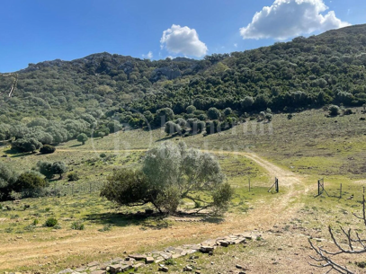 Finca Castellar – Med privat strand- och sjöaccess nära Castellar de la Frontera