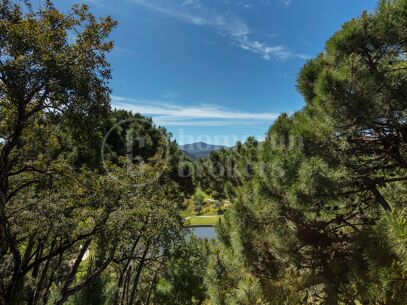Villa Lavinia – Elegant 8 Bedroom Villa in La Zagaleta