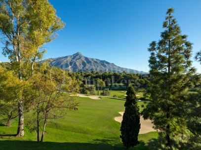 Villa Alaya - Recently Renovated Frontline Golf Villa in Nueva Andalucia