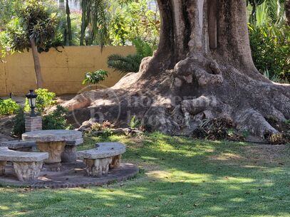 Casa Carla: Andalusisk charm bara 200 m från stranden i Cortijo Blanco, Marbella