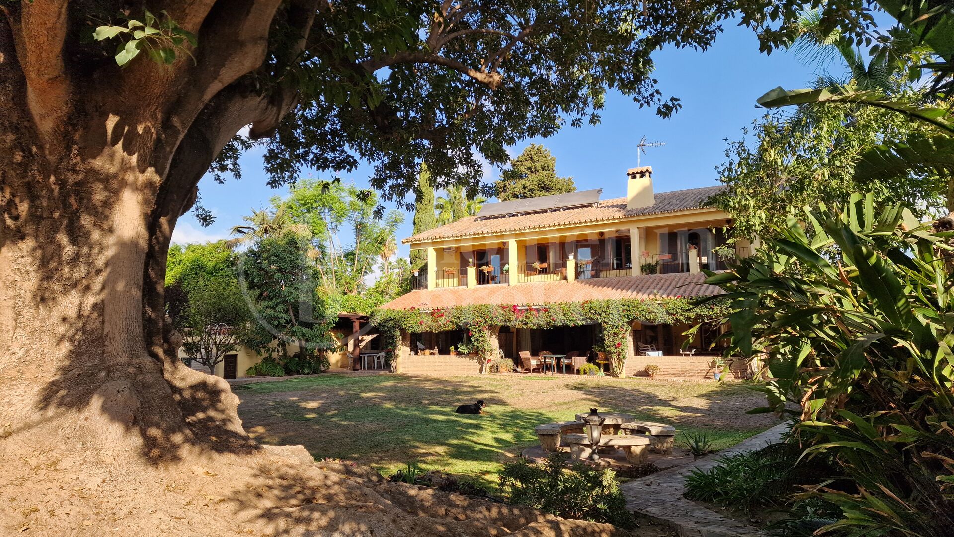 Casa Carla: Andalusisk charm bara 200 m från stranden i Cortijo Blanco, Marbella