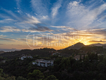 La Zagaleta Plot - Southwest Facing plot in Europe's most exclusive gated community