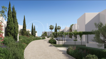 Patio Home - Contemporary Home in Los Alamos, Sotogrande
